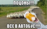 поцоны!!! все в автобус!!!