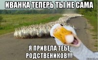 иванка теперь ты не сама я привела тебе родствеников!!!