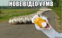 нове відео у FMB 