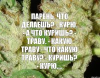 Парень, что делаешь? - Курю. - А что куришь? - Траву. - Какую траву - Что какую траву? - Куришь? - Курю....