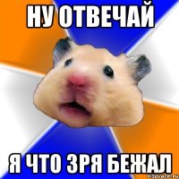 ну отвечай я что зря бежал