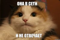 ОНА В СЕТИ И НЕ ОТВЕЧАЕТ