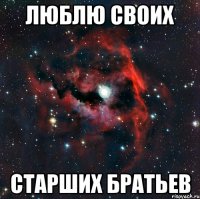 люблю своих старших братьев