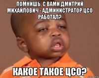 помнишь, с вами дмитрий михайлович - администратор цсо работал? какое такое цсо?