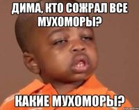 дима, кто сожрал все мухоморы? какие мухоморы?