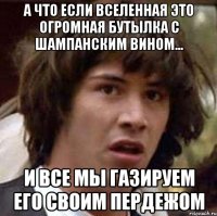 а что если вселенная это огромная бутылка с шампанским вином... и все мы газируем его своим пердежом