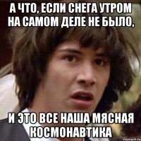 А что, если снега утром на самом деле не было, и это все наша мясная космонавтика