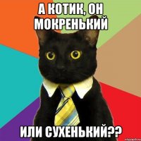 а котик, он мокренький или сухенький??