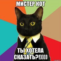 мистер кот ты хотела сказать?!))))