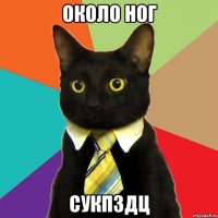 около ног сукпздц