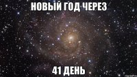 Новый год через 41 день