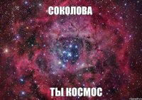 Соколова Ты Космос