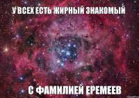 У ВСЕХ ЕСТЬ ЖИРНЫЙ ЗНАКОМЫЙ С ФАМИЛИЕЙ ЕРЕМЕЕВ