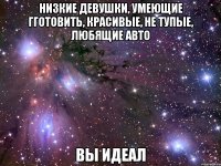 НИЗКИЕ ДЕВУШКИ, УМЕЮЩИЕ ГГОТОВИТЬ, КРАСИВЫЕ, НЕ ТУПЫЕ, ЛЮБЯЩИЕ АВТО ВЫ ИДЕАЛ