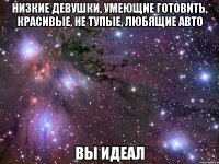 НИЗКИЕ ДЕВУШКИ, УМЕЮЩИЕ ГОТОВИТЬ, КРАСИВЫЕ, НЕ ТУПЫЕ, ЛЮБЯЩИЕ АВТО ВЫ ИДЕАЛ