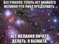 Все рухнуло. Теперь нет никакого желания что-либо продолжать. Нет желания ничего делать. Я выжата.