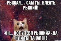 - рыжая... - сам ты, блеать, рыжий! -ок.... кот у тебя рыжий? -да -ну и ты такая же