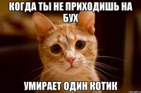 КОГДА ТЫ НЕ ПРИХОДИШЬ НА БУХ УМИРАЕТ ОДИН КОТИК