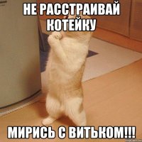 не расстраивай котейку мирись с Витьком!!!