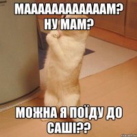 маааааааааааам? ну мам? можна я поїду до Саші??