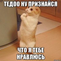 Тедоо ну признайся что я тебе нравлюсь