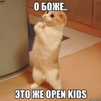 О боже.. Это же Open Kids