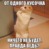 От одного кусочка ничего не будет, правда ведь?