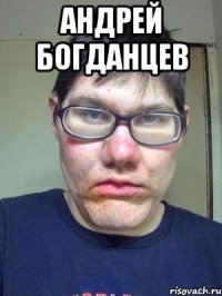 андрей богданцев 