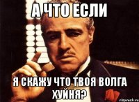 а что если я скажу что твоя волга хуйня?