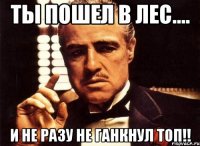 ТЫ пошел в лес.... И не разу не ганкнул топ!!