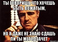 ты говоришь что хочешь быть вожатым, но я даже не знаю сдашь ли ты методзачет