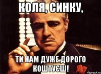 Коля, синку, ти нам дуже дорого коштуєш!