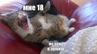 мне 18 не хочу в армию 