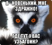 я - новенький, мне здражно! где тут у вас узбагоин?