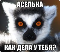 аселька как дела у тебя?