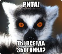 рита! ты всегда збогойна?