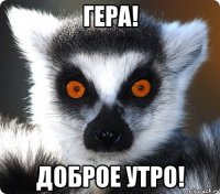 гера! доброе утро!