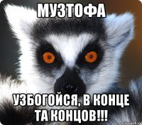 музтофа узбогойся, в конце та концов!!!