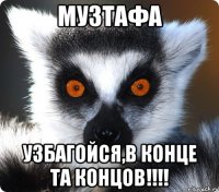 музтафа узбагойся,в конце та концов!!!