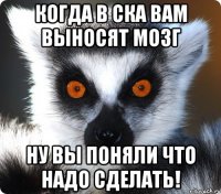 Когда в ска вам выносят мозг Ну вы поняли что надо сделать!