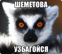 Шеметова узбагойся