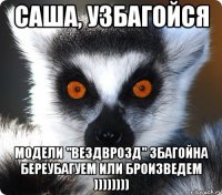 Саша, узбагойся Модели "вездврозд" збагойна береубагуем или броизведем ))))))))