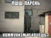 Пшш, парень коммунизм не хочешь?