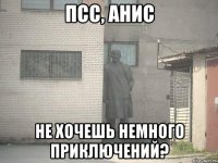 псс, анис не хочешь немного приключений?