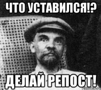 Что уставился!? Делай репост!