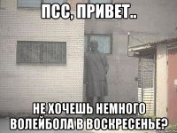 ПСС, ПРИВЕТ.. НЕ ХОЧЕШЬ НЕМНОГО ВОЛЕЙБОЛА В ВОСКРЕСЕНЬЕ?