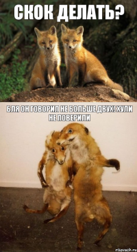скок делать? БЛя он говорил не больше двух! Хули не поверили