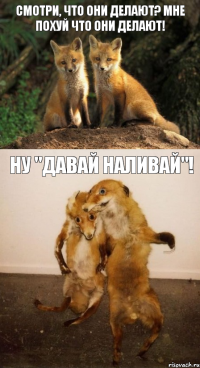 Смотри, что они делают? Мне похуй что они делают! Ну "Давай наливай"!