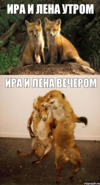 ИРА И ЛЕНА УТРОМ ИРА И ЛЕНА ВЕЧЕРОМ