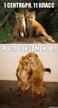 1 сентября. 11 класс После экзаменов...